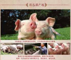 杭州特產萬隆熟香腸 肉棗紅腸即食零食品的經典風味